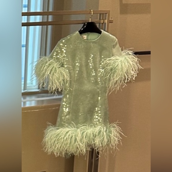 16 Arlington Sequin and Feather Dress - Picture 2 of 9